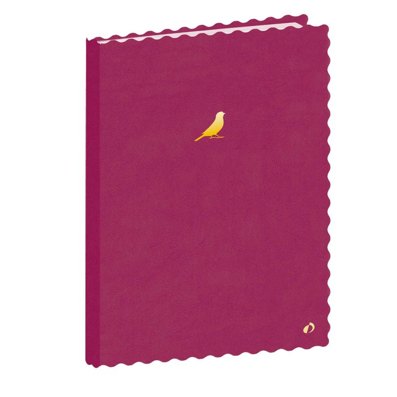 3371010513598-Quo Vadis - Carnet de notes - Festy - Violet - Pages Lignées - 15x21 cm - Papier Clairefontaine blanc - Fabri--0