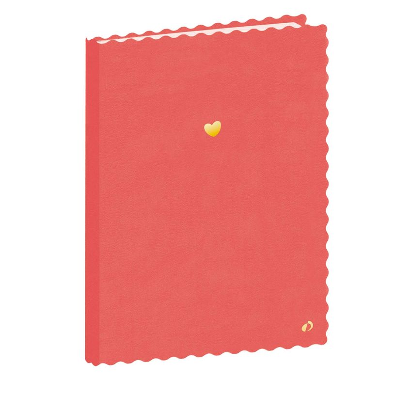 3371010513581-Quo Vadis - Carnet de notes - Festy - Rose - Pages Lignées - 15x21 cm - Papier Clairefontaine blanc - Fabri--0