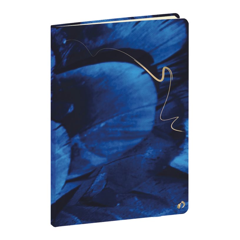 3371010524587-Quo Vadis - Carnet de notes - Hipsy - Multicolore - Pages Points (dots) et lignées - 15x21 cm - Papier Clairefontaine blanc - Fabri--0