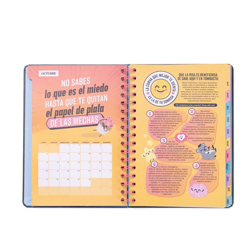 8445641063403-Mr. Wonderful Wonder - Agenda - 2025-2026 - semainier - reliure à anneaux métalliques - 160 pages - Planazos, -P_405248739_3-1