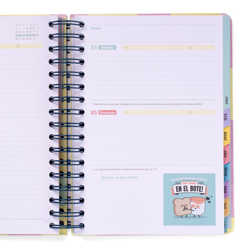 8445641063212-Mr. Wonderful Wonder - Agenda - 2025-2026 - 1 jour par page - reliure à anneaux métalliques - 36-P_405248744_4-2