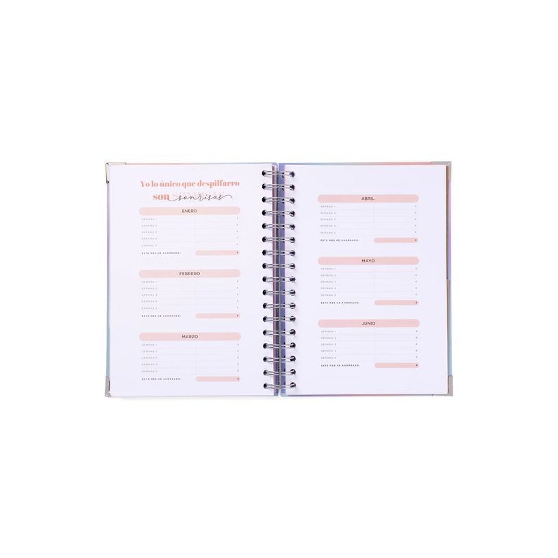 8445641063694-Mr. Wonderful Office - Agenda - 2025-2026 - semana vista - encuadernado anillas metálicas - 226-P_405248750_13-7