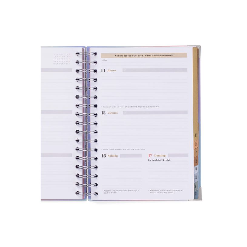 8445641063694-Mr. Wonderful Office - Agenda - 2025-2026 - semana vista - encuadernado anillas metálicas - 226 -P_405248750_9-4