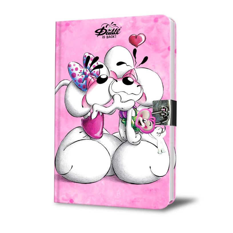 3519570300504-Journal secret Diddl--0