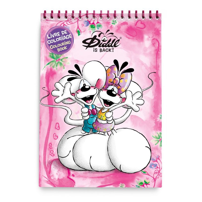 3519570300559-Cahier de coloriage A4 Diddl--0
