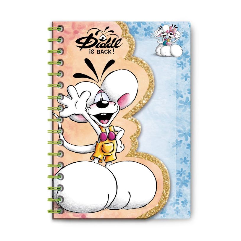 3519570300542-Carnet forme A6 Diddl--0