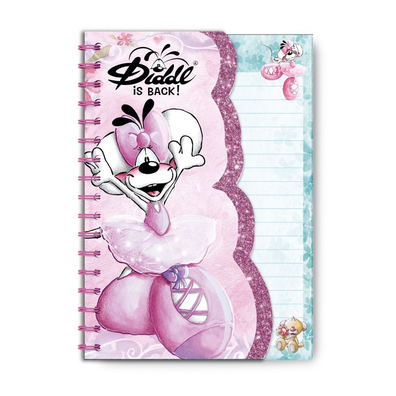 3519570300542-Carnet forme A6 Diddl--1