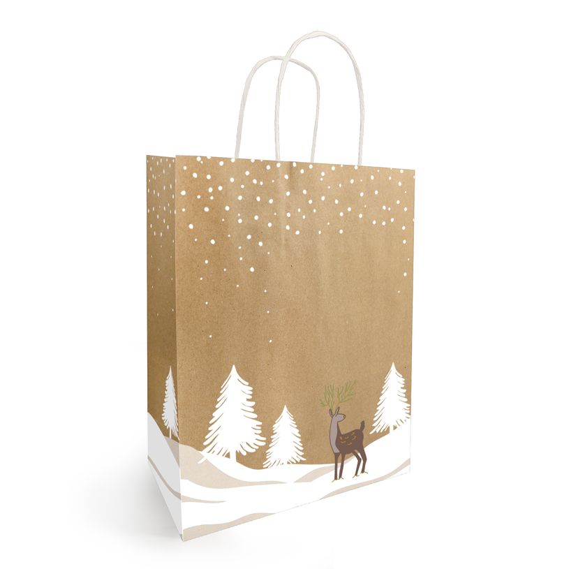 3281650618242-50 Sacs cadeau kraft TINO - 22 x 18 x 8 cm - Kraft et blanc--0