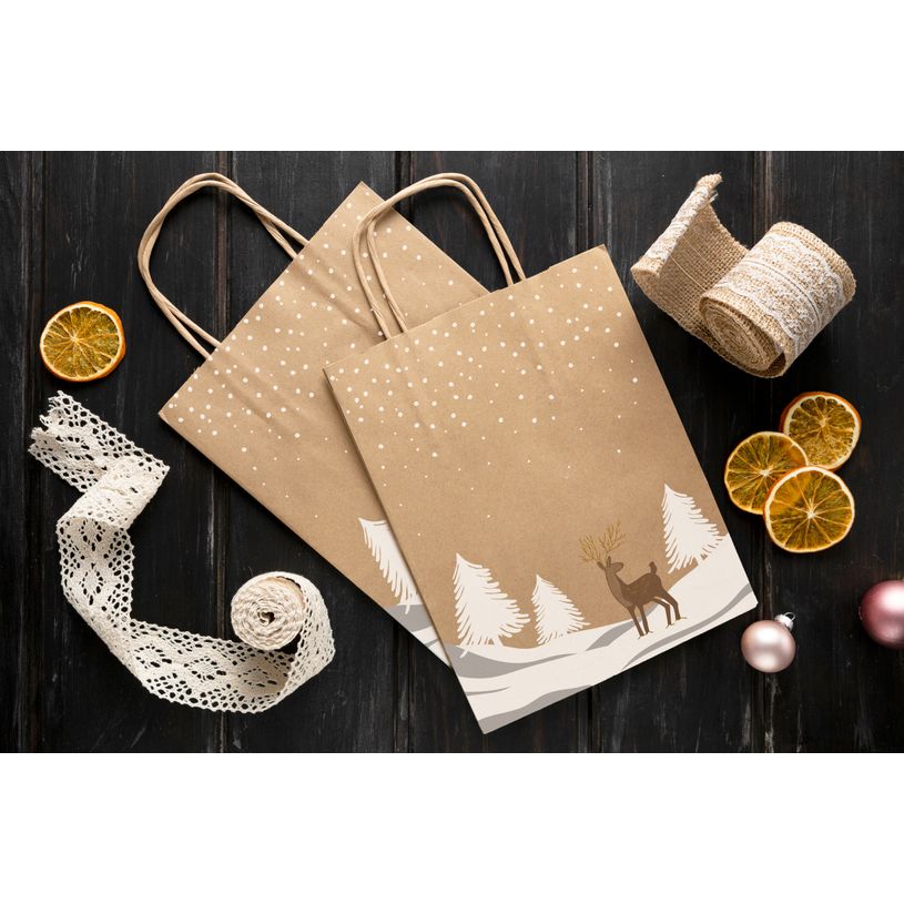 3281650618242-50 Sacs cadeau kraft TINO - 22 x 18 x 8 cm - Kraft et blanc--1