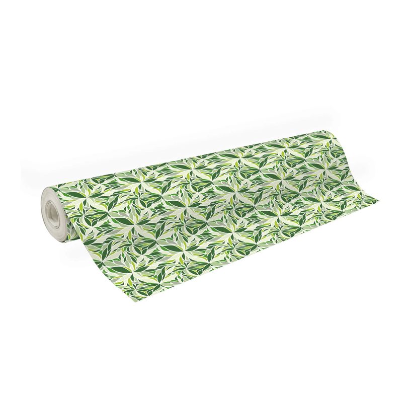 3663619207252-Clairefontaine Excellia - Emballage cadeau - 70 cm x 50 m - 80 g/m² - petals - vert - pap-P_405252856_1-0