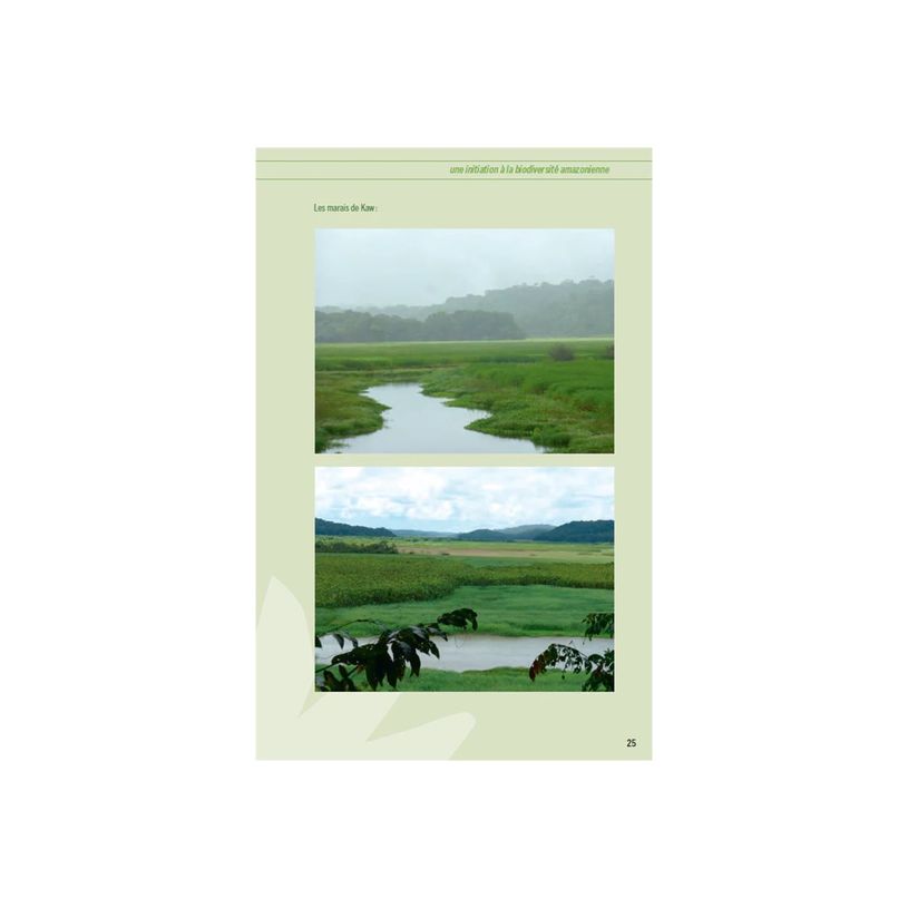 9791029807169-Guide pratique de terrain: Faune et flore en Guyane - Une initiation à la biodiversité amazoni-P_405254871_2-2