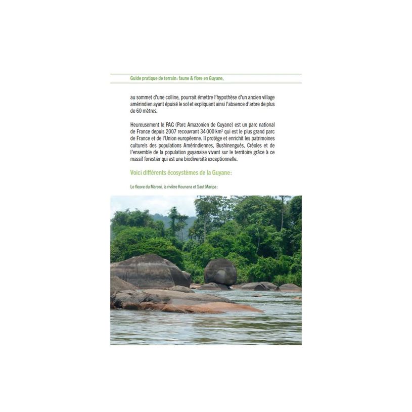 9791029807169-Guide pratique de terrain: Faune et flore en Guyane - Une initiation à la biodiversité amazoni-P_405254871_3-0