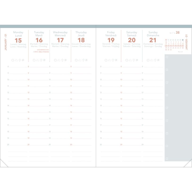 3371010545438-Quo Vadis - Agenda année scolaire - 2026-2027 - Universitaire Color - Semainier Planning - Multilingue - Festy - Rose - 13 mois de août à--1