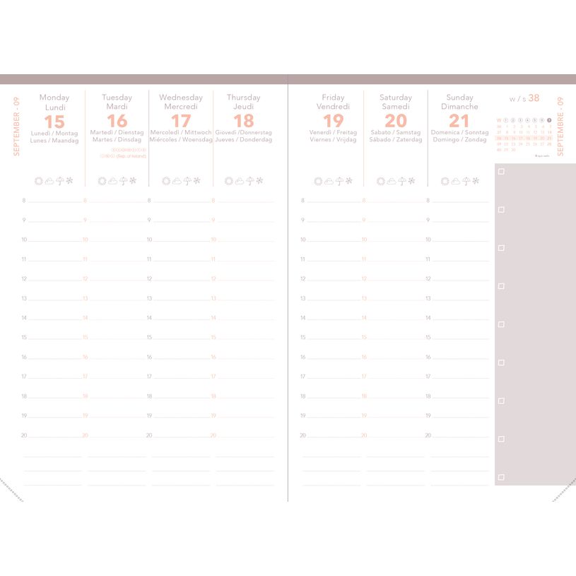 3371010545438-Quo Vadis - Agenda année scolaire - 2026-2027 - Universitaire Color - Semainier Planning - Multilingue - Festy - Rose - 13 mois de août à--4