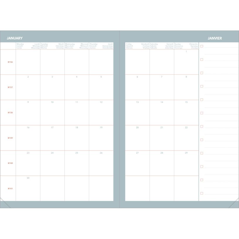 3371010545438-Quo Vadis - Agenda année scolaire - 2026-2027 - Universitaire Color - Semainier Planning - Multilingue - Festy - Rose - 13 mois de août à--5