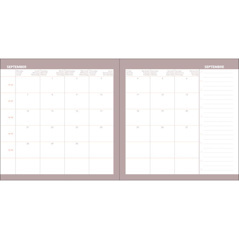 3371010543991-Quo Vadis - Agenda année scolaire - 2026-2027 - Exécutif Septembre Color - Semainier Planning - Multilingue - Pastel - Blanc - 13 mois de août à--4
