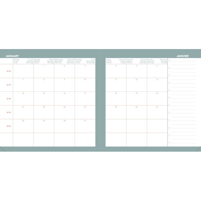 3371010543991-Quo Vadis - Agenda année scolaire - 2026-2027 - Exécutif Septembre Color - Semainier Planning - Multilingue - Pastel - Blanc - 13 mois de août à--7