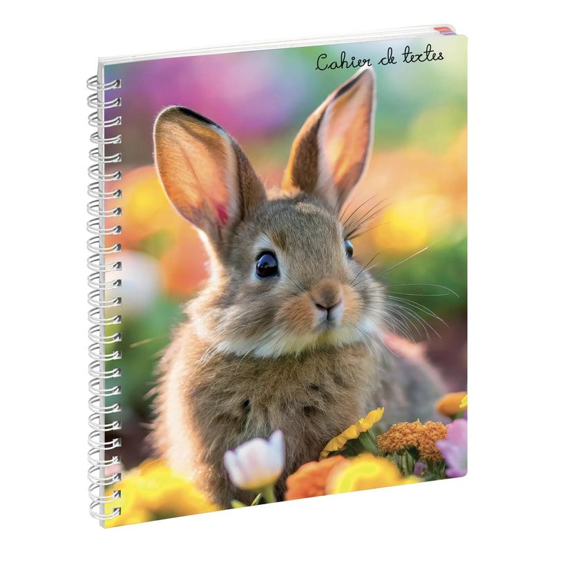 3660942090452-Cahier de textes à spirale Animaux - 17 x 22 cm - Lapin - Exacompta--0