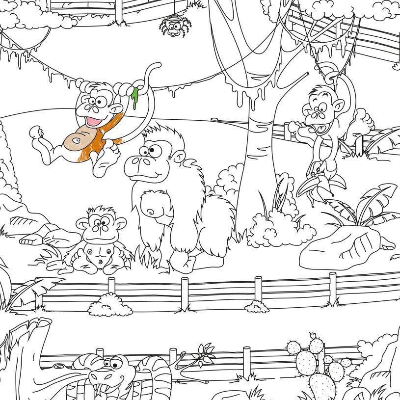 3592930011883-Coloriage géant Zoo - 80 x 120 cm - Bouchut--6