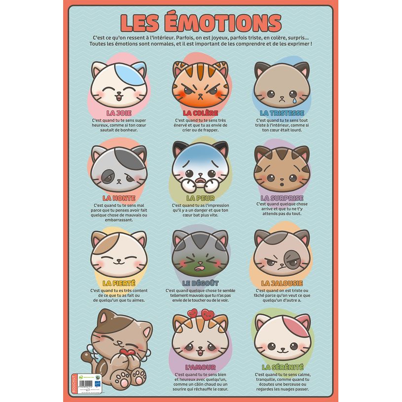 3592930028270-Poster pédagogique Emotions - 52 x 76 cm - Bouchut--0