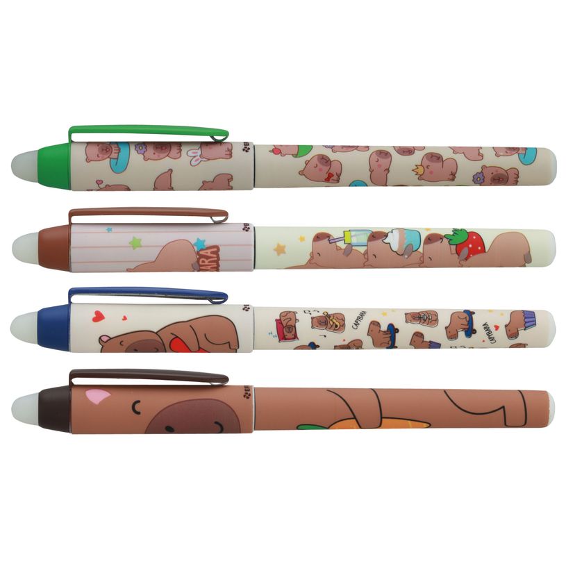 3173740255201-Effacink plastique INK Lazycapy 4 designs assortis--0