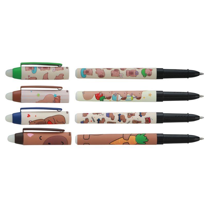 3173740255201-Effacink plastique INK Lazycapy 4 designs assortis--4