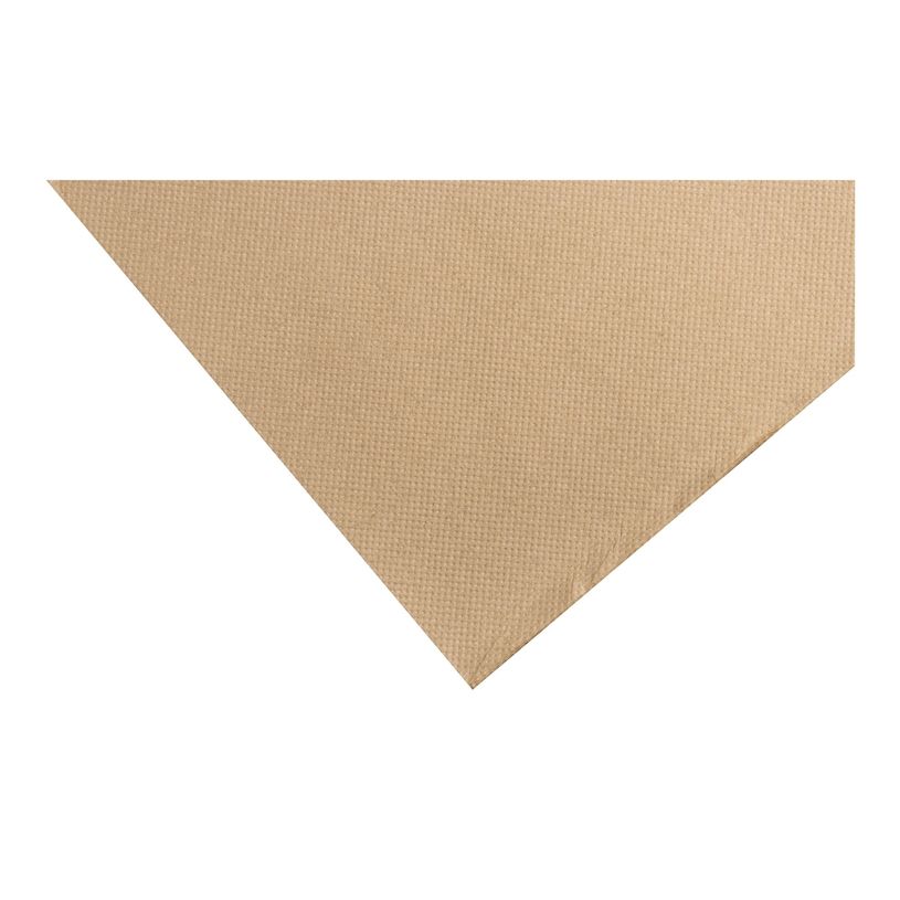 3281516238423-Pronappe - 40 Serviettes - Taille 38 x 38 cm - jetable - ficelle marron-P_405256074_7-1