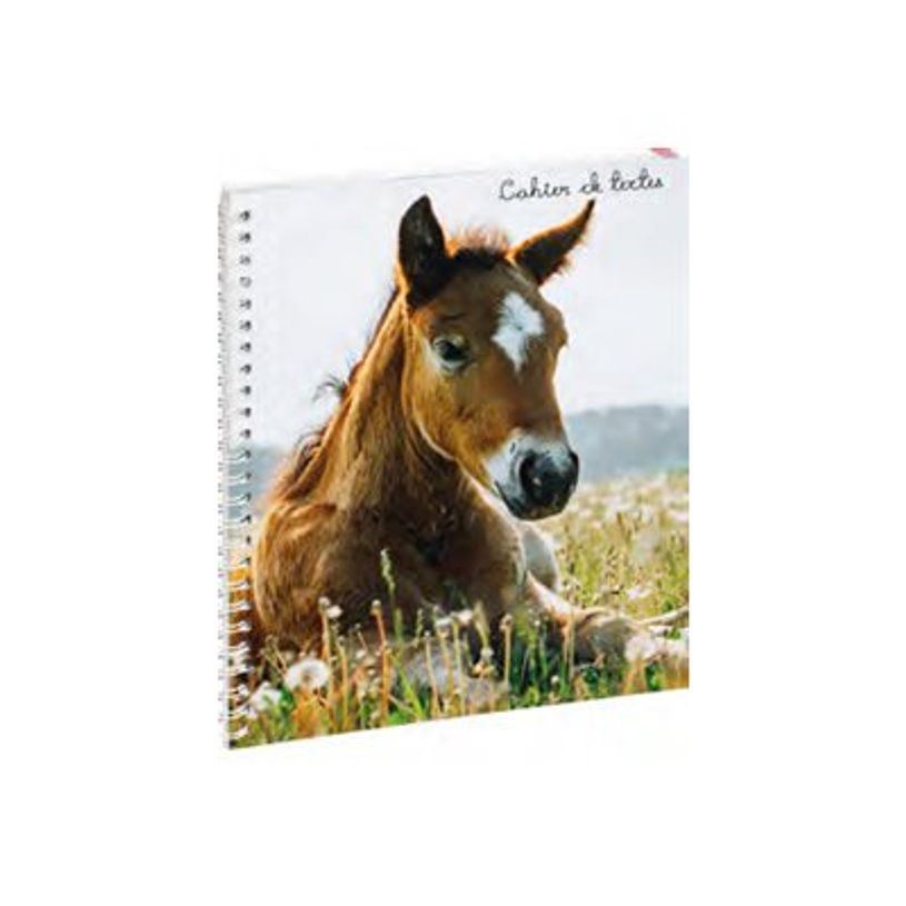 3660942090445-Cahier de textes à spirale Animaux - 17 x 22 cm - Galopin - Exacompta-P_405256426_1-2