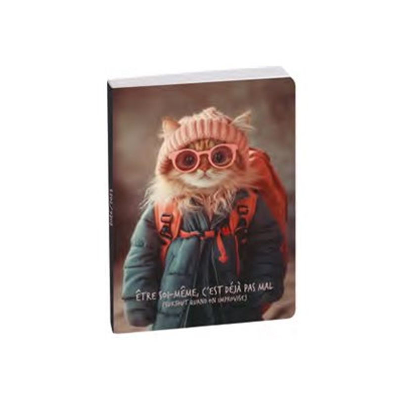 3660942090339-Agenda Funny Pets - 1 jour par page - 12 x 17 cm - Aventurier - Exacompta-P_405256443_1-8