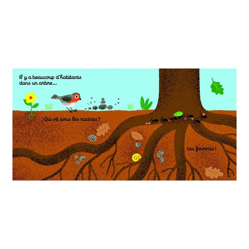 9782092589151-On se cache dans l'arbre - Dès 6 mois-P_405256503_2-4