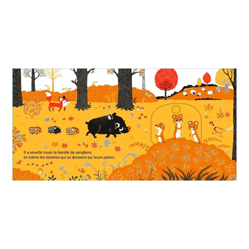 9782092492864-Promenade dans les bois - dès 6 mois-P_405256513_5-3