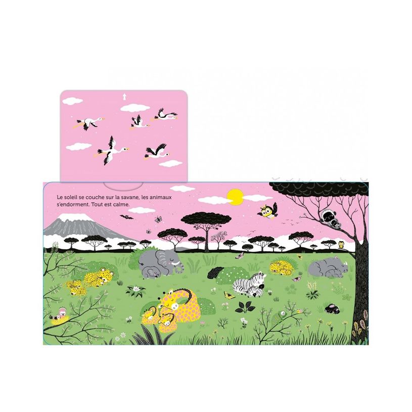 9782092497043-Promenade dans la savane - dès 6 mois-P_405256517_5-5