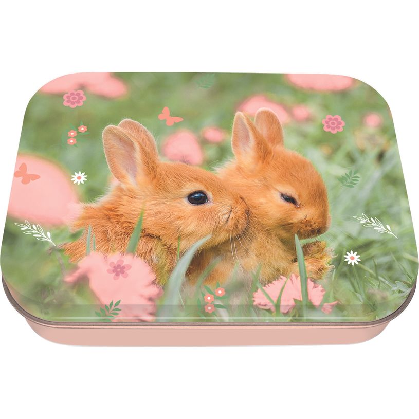 3664447218298-Boite à tout Lapin - 11 x 8 cm - Oberthur--0