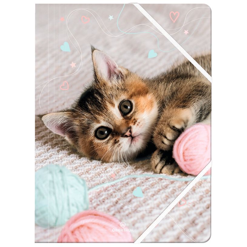 3664447220833-Chemise A4 chaton tendre - 24 x 32 cm - Oberthur--0