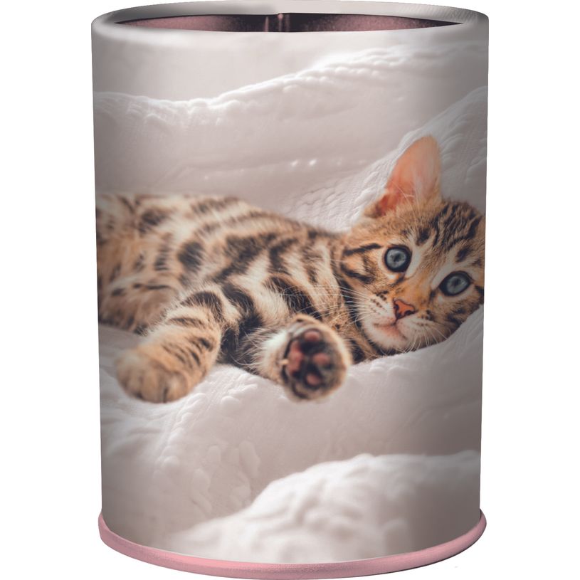 3664447218229-Pot a crayons chaton - 6,7 x 10,7 cm - Oberthur--0