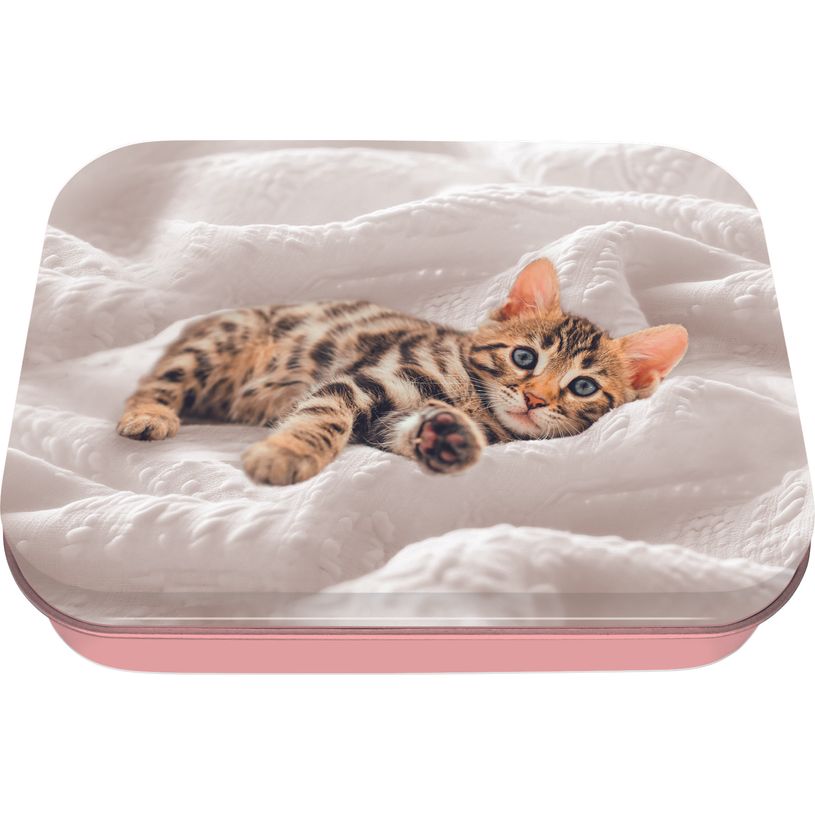 3664447218236-Boite a tout chaton - 11 x 8 cm - Oberthur--0