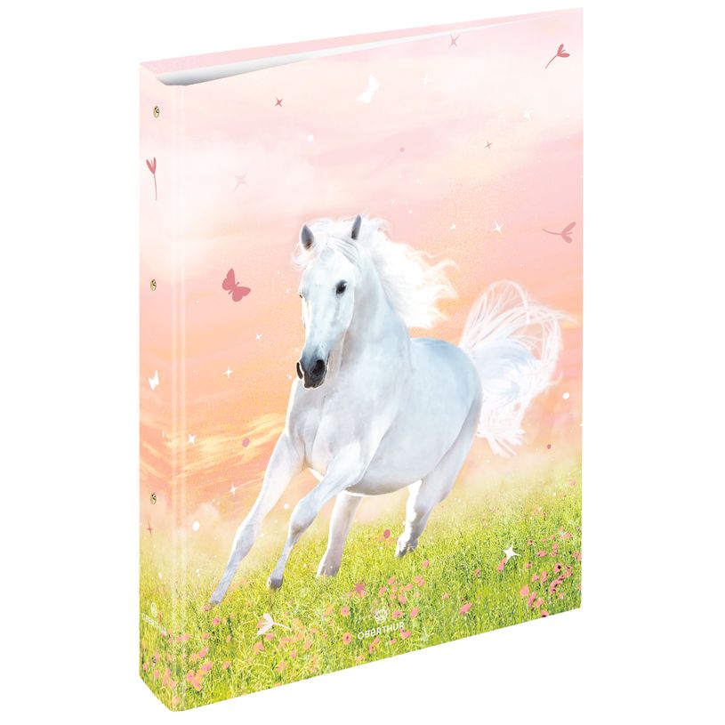3664447217604-Classeur A4 dos 40 cheval - 25 x 32 cm - Oberthur--0