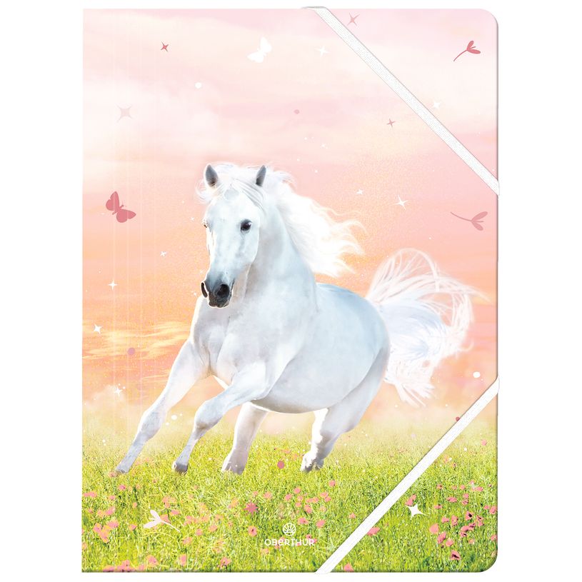 3664447217611-Chemise A4 Cheval - 24 x 32 cm - Oberthur--0