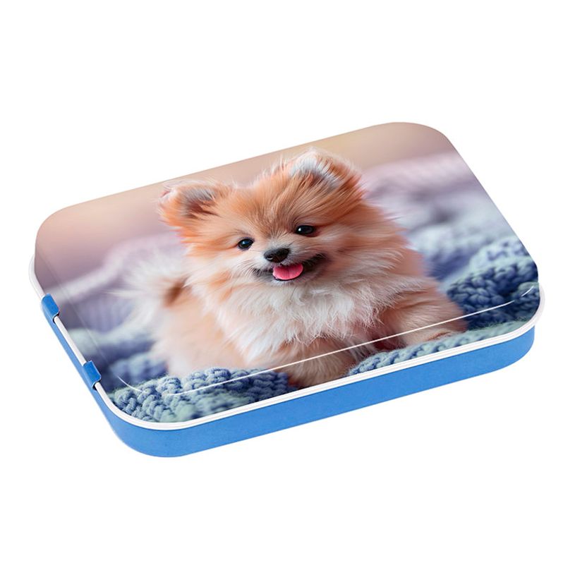 3135256885006-Boite à bons points en métal chien et lapin - Viquel--1