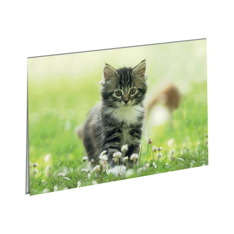 3664447220840-Oberthur Chaton Nature - Sous-main double - 55 x 37 cm-P_405257046_1-0