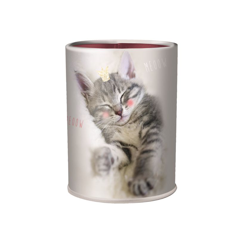 3664447218229-Pot a crayons chaton - 6,7 x 10,7 cm - Oberthur-P_405257047_1-1
