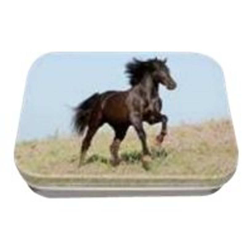 3664447218281-Boite a tout Cheval - 11 x 8 cm - Oberthur-P_405257060_1-1