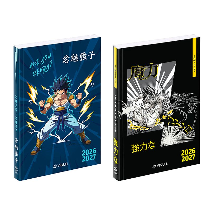 3135257464873-Agenda Manga Boy - 1 jour par page - 12 x 17 cm - Viquel--0