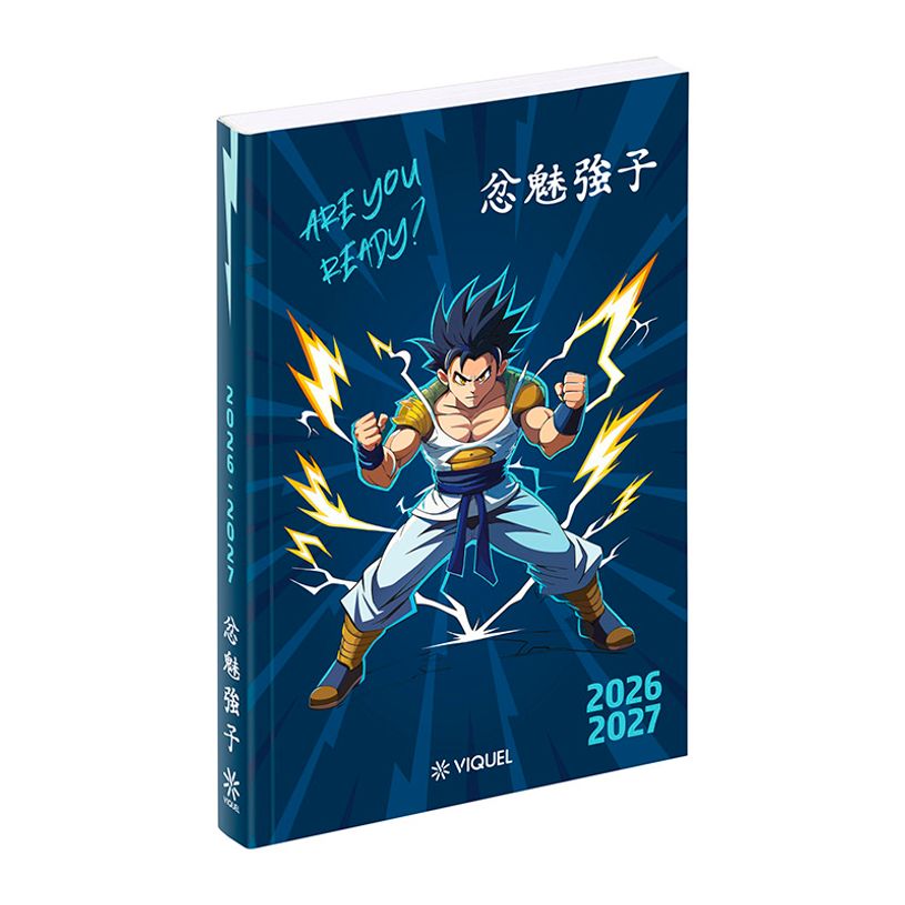 3135257464873-Agenda Manga Boy - 1 jour par page - 12 x 17 cm - Viquel--2
