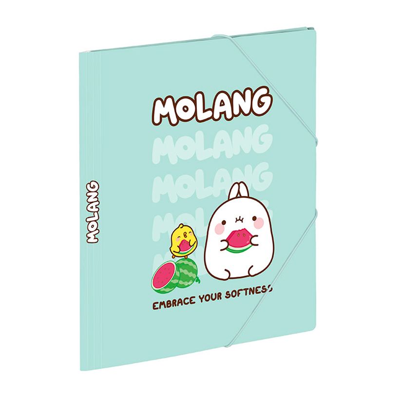 3135252014813-Chemise pelliculée à élastiques 3 rabats A4 MOLANG FRUITS--1