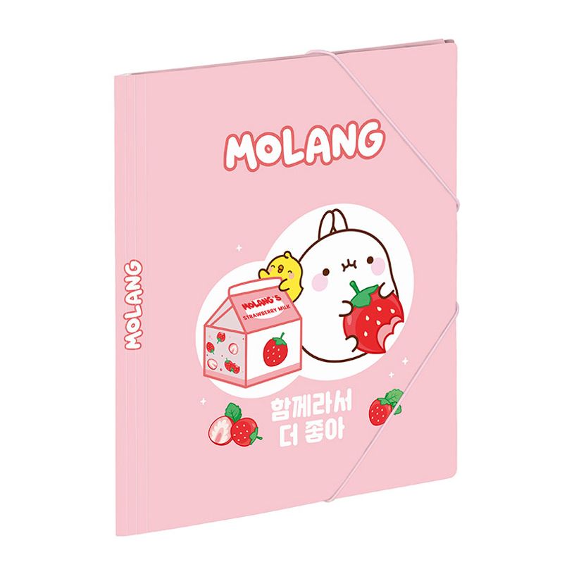 3135252014813-Chemise pelliculée à élastiques 3 rabats A4 MOLANG FRUITS--3