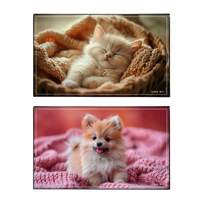 3135251384979-Sous-main Fantaisie en PVC ANIMAUX - Chaton et Chiot--0