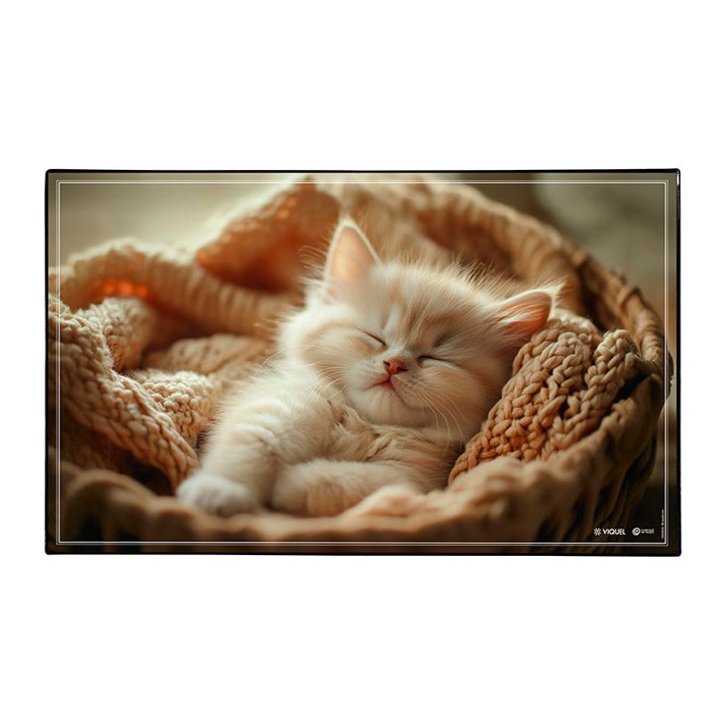 3135251384979-Sous-main Fantaisie en PVC ANIMAUX - Chaton et Chiot--2
