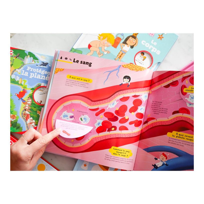 9782092585610-Le grand Kididoc du corps humain - Livre pop-up - dès 4 ans-P_405259519_2-6