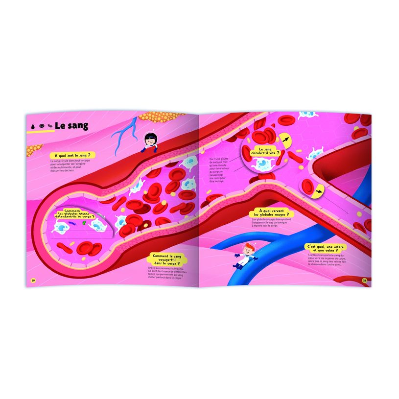 9782092585610-Le grand Kididoc du corps humain - Livre pop-up - dès 4 ans-P_405259519_6-4